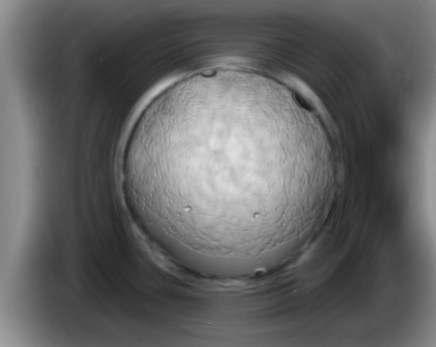 X0000084021435200703091938