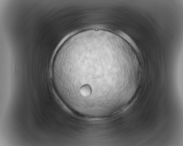 X0000084021436200703091938