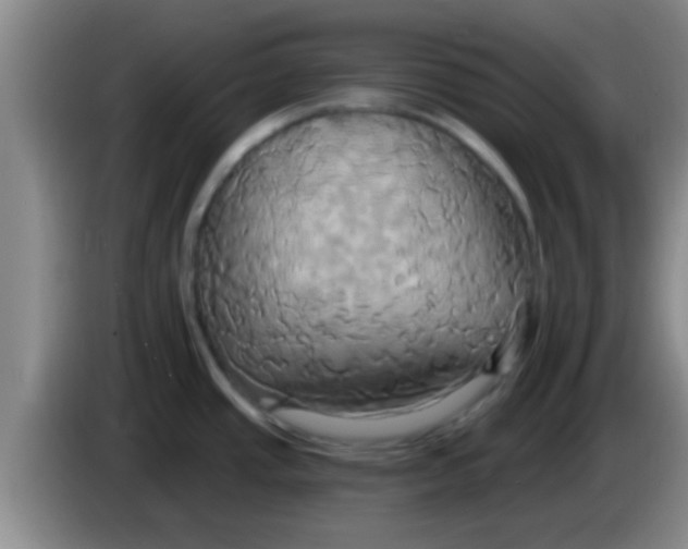 X0000084021437200703091938