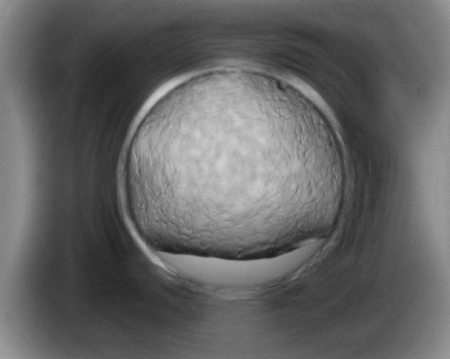 X0000084021440200703091938