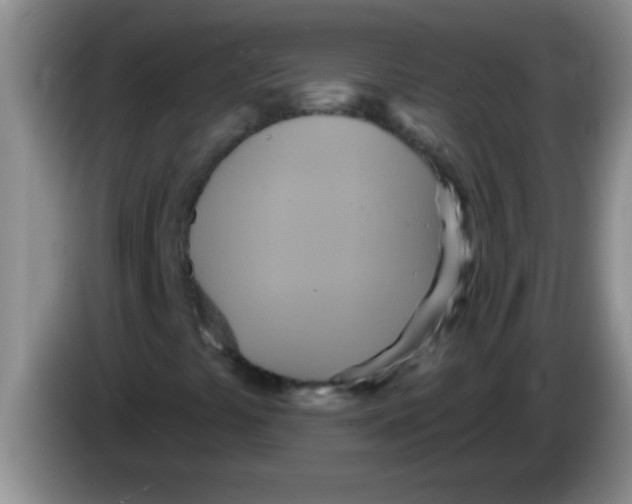 X0000084021441200703091938