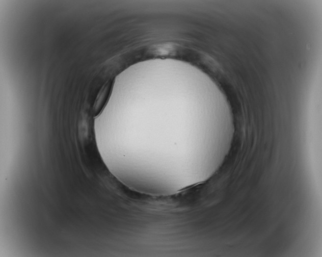 X0000084021442200703091938