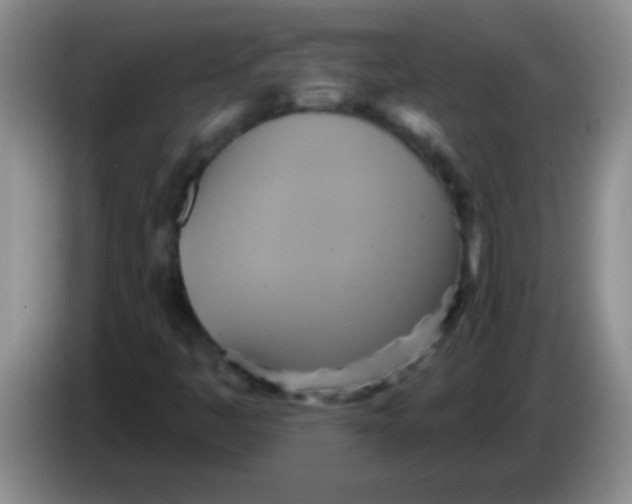 X0000084021445200703091938