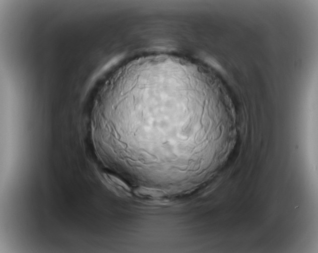 X0000084021448200703091938