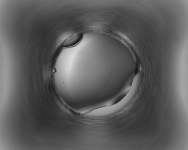 X0000084021450200703091938