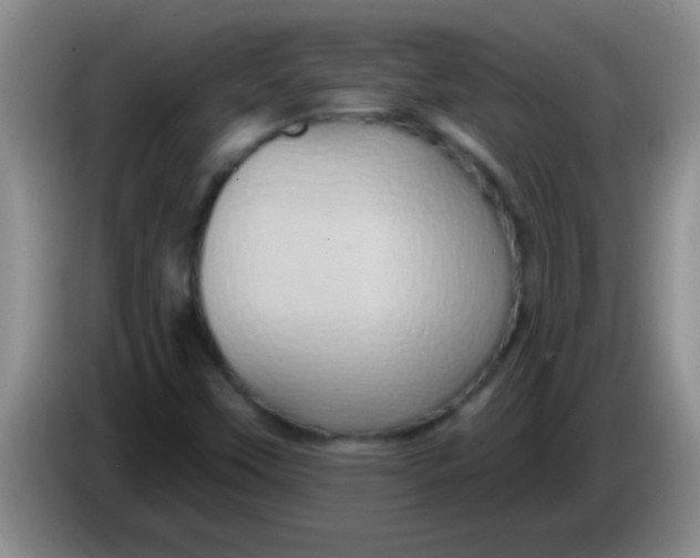 X0000084021451200703091938