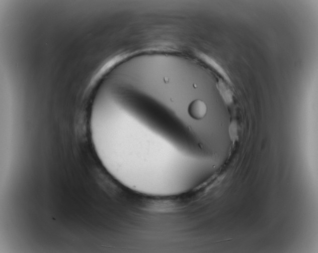 X0000084021455200703091938