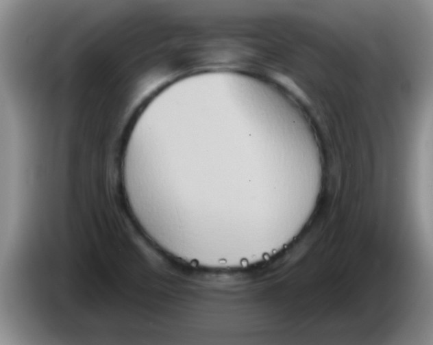 X0000084021458200703091938