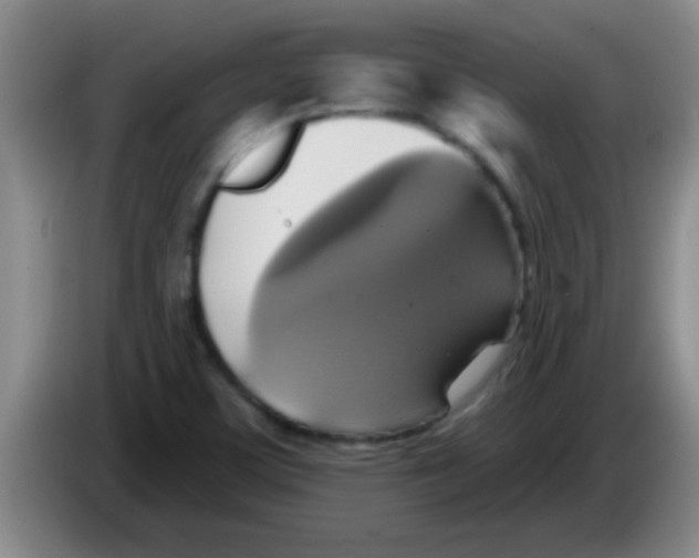 X0000084021459200703091938