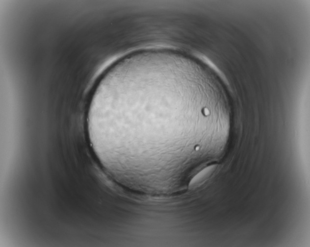 X0000084021460200703091938