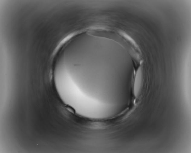 X0000084021461200703091938