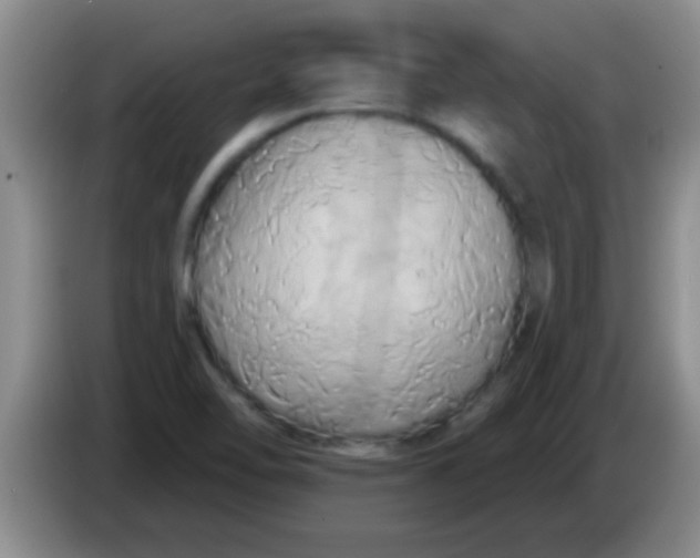 X0000084021462200703091938