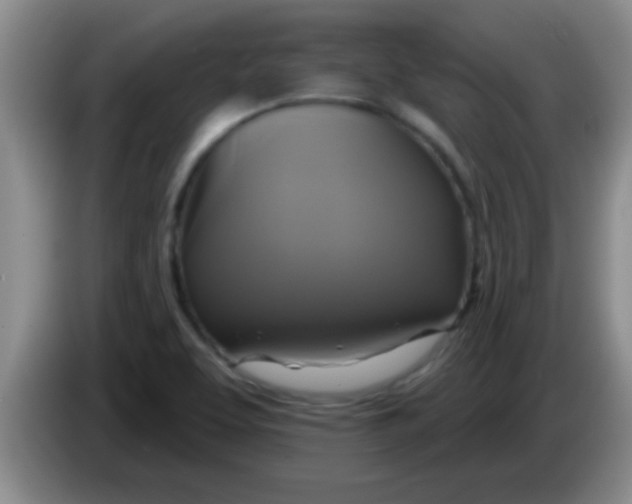 X0000084021463200703091938