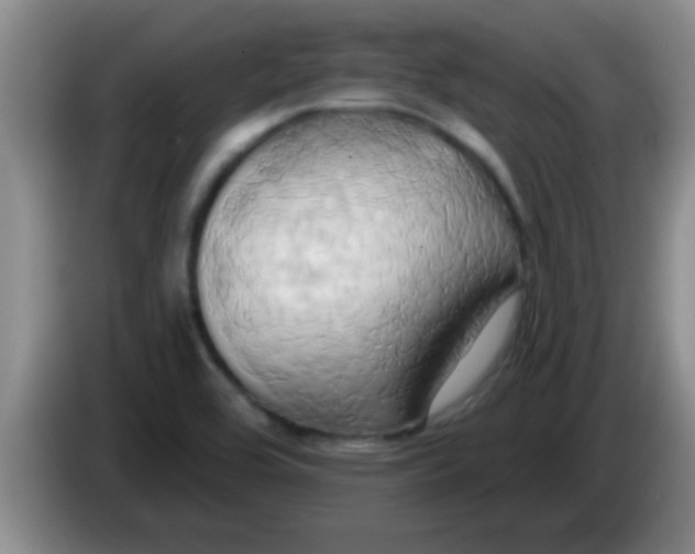 X0000084021464200703091938