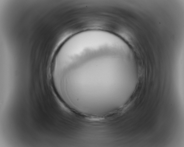 X0000084021466200703091938