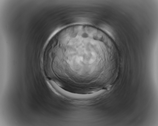 X0000084021468200703091937