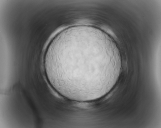 X0000084021470200703091937