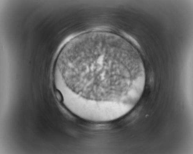 X0000084021471200703091937