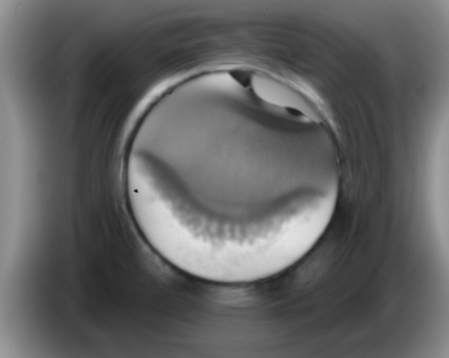 X0000084021472200703091937