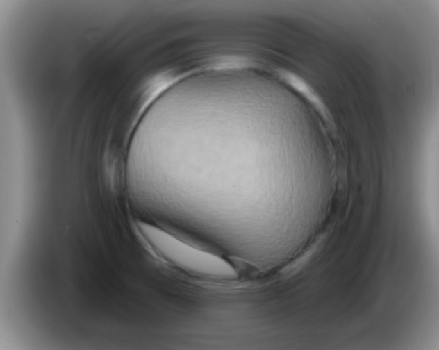 X0000084021473200703091937