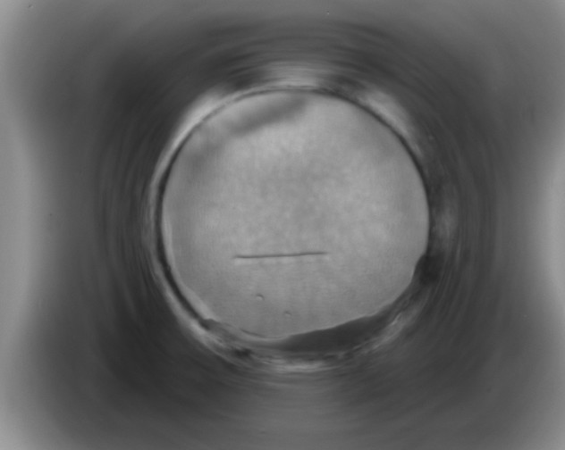 X0000084021475200703091937