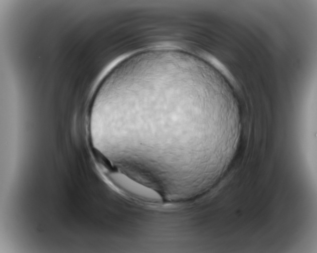 X0000084021476200703091937