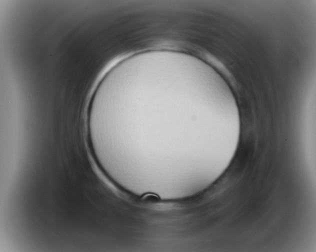 X0000084021479200703091937