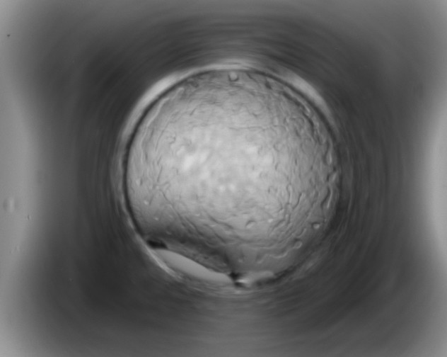 X0000084021480200703091937