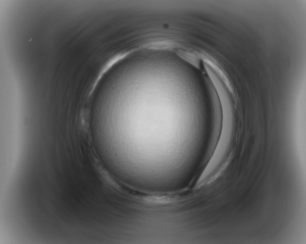 X0000084021481200703091937