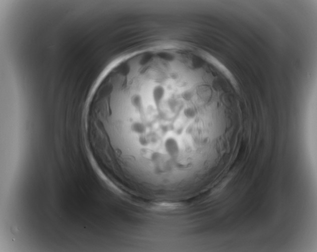 X0000084021483200703091937