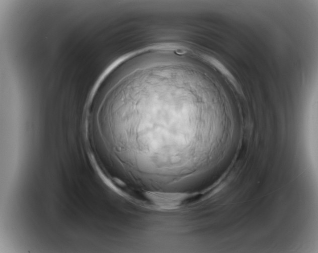 X0000084021484200703091937