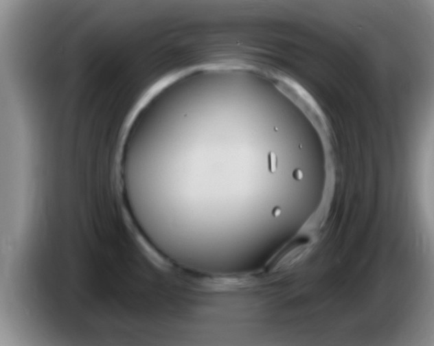 X0000084021485200703091937