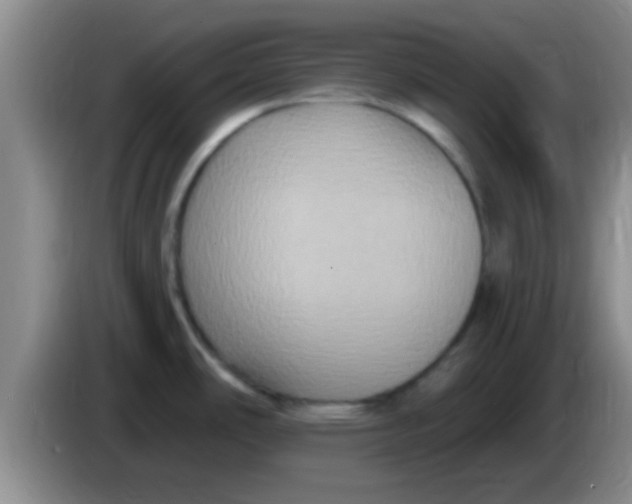 X0000084021486200703091937