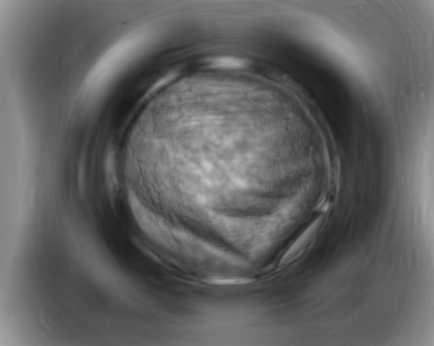 X0000084021487200703091937