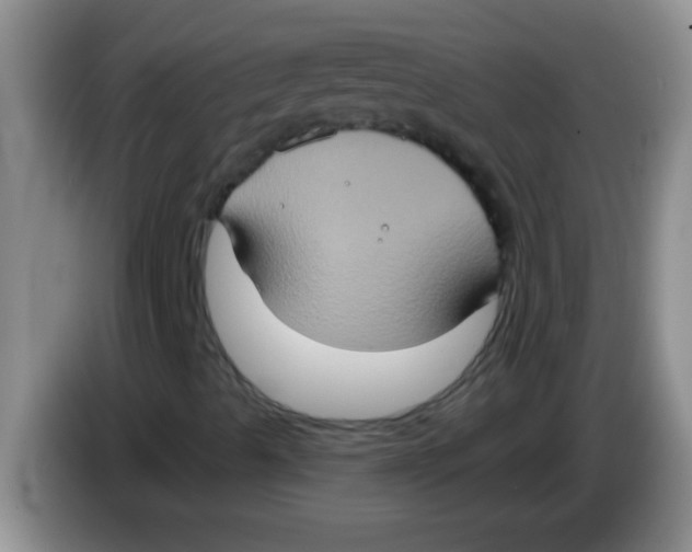 X0000084021489200703091937