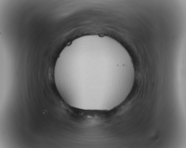 X0000084021490200703091937