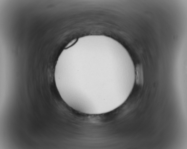 X0000084021491200703091937