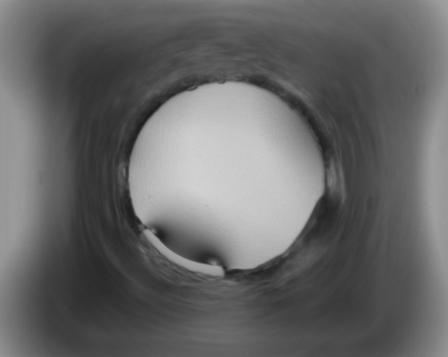 X0000084021492200703091937