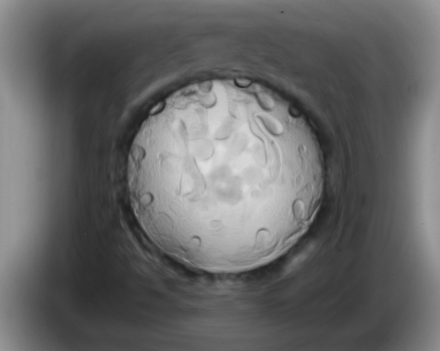 X0000084021494200703091937