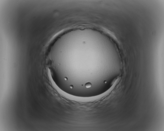 X0000084021496200703091937