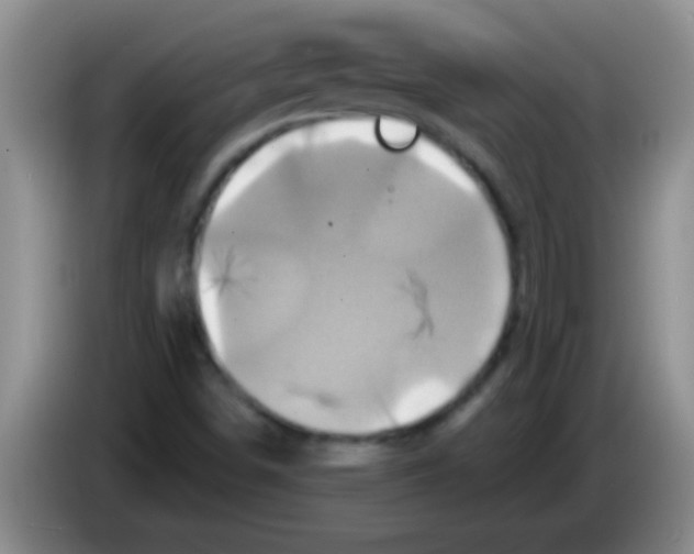 X0000084021498200703091937