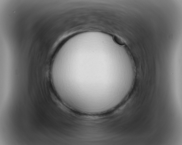 X0000084021499200703091937