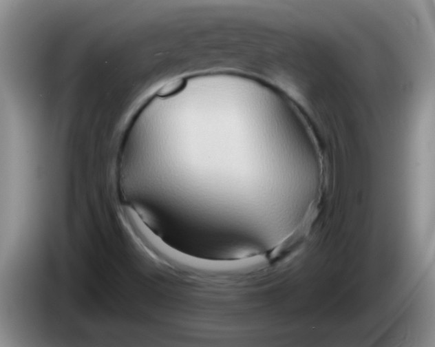 X0000084021500200703091937