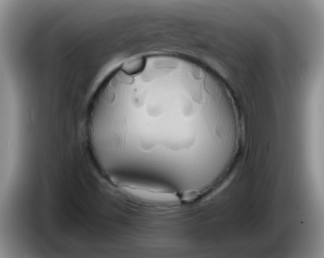 X0000084021501200703091937