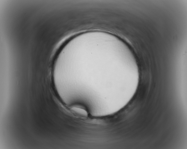 X0000084021503200703091937