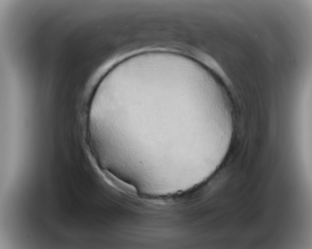 X0000084021504200703091937