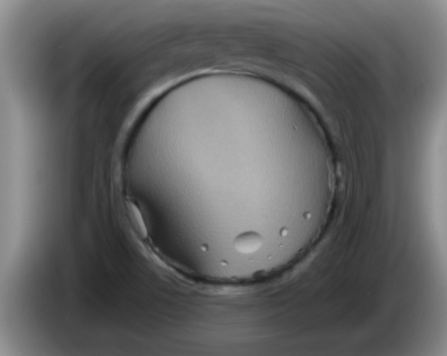 X0000084021506200703091937