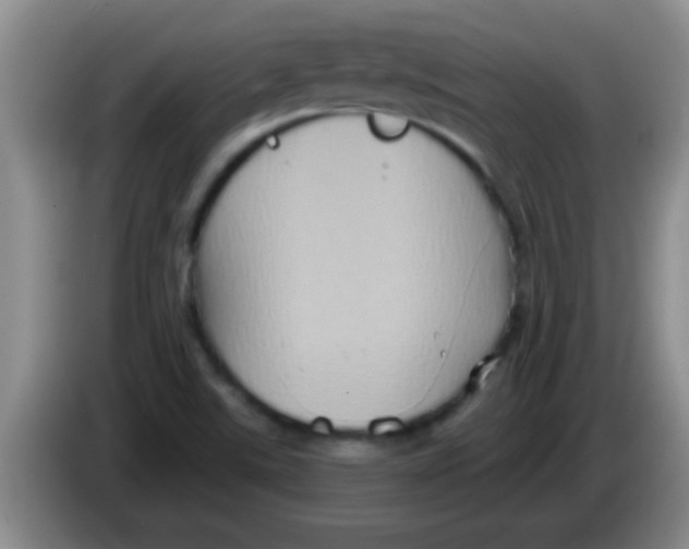 X0000084021507200703091937