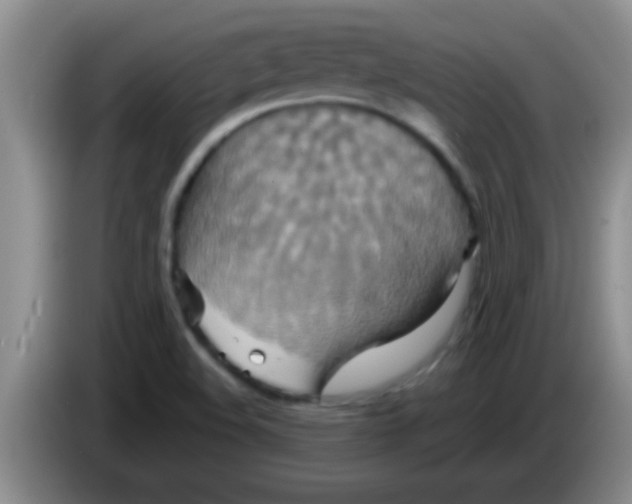 X0000084021508200703091937