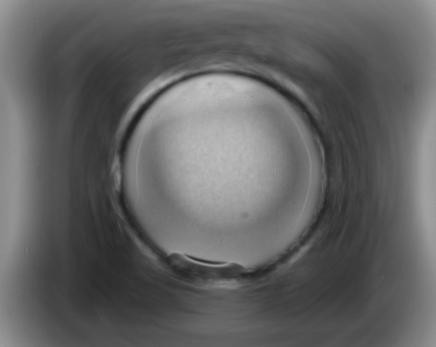 X0000084021509200703091937